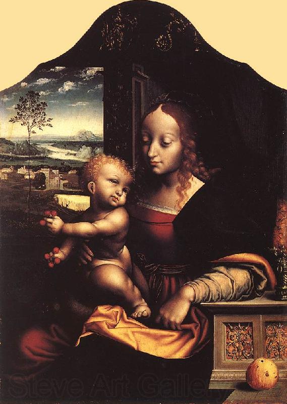 CLEVE, Joos van Virgin and Child vfhg France oil painting art